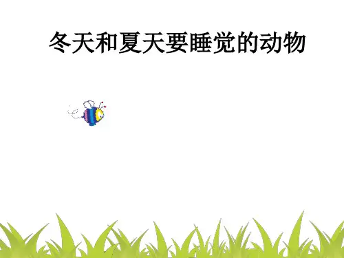 大班科学  冬天和夏天要睡觉的动物