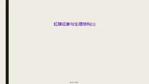 虹膜征象与生理结构(1)