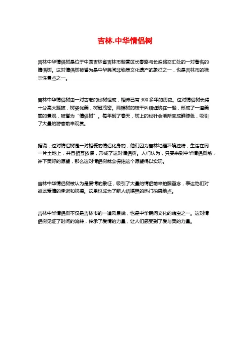 吉林.中华情侣树