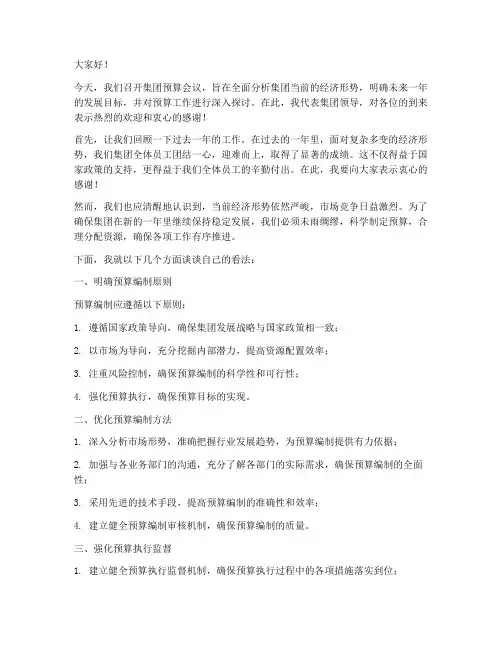 集团预算会议领导发言稿