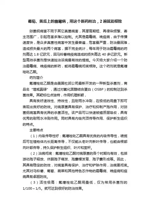 葡萄、黄瓜上的霜霉病，用这个新药防治，2遍就能根除