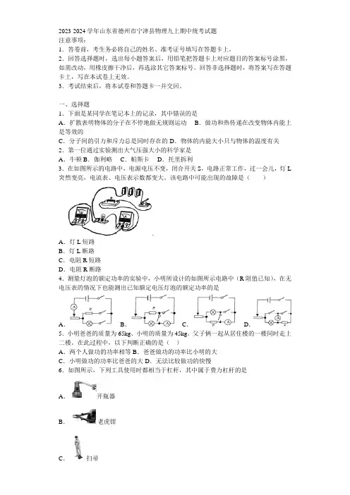 2023-2024学年山东省德州市宁津县物理九上期中统考试题含解析