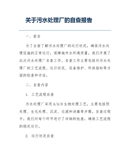 关于污水处理厂的自查报告