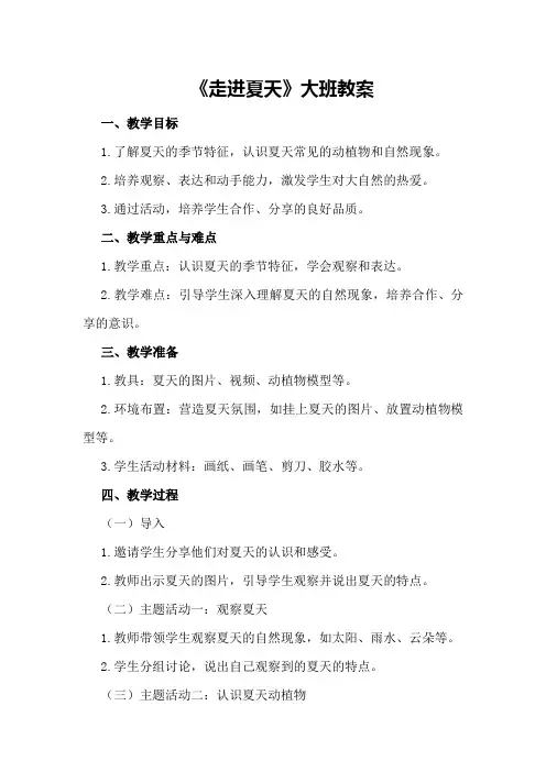 2024年《走进夏天》大班教案