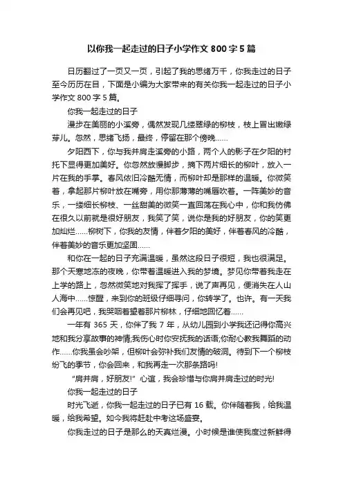 以你我一起走过的日子小学作文800字5篇