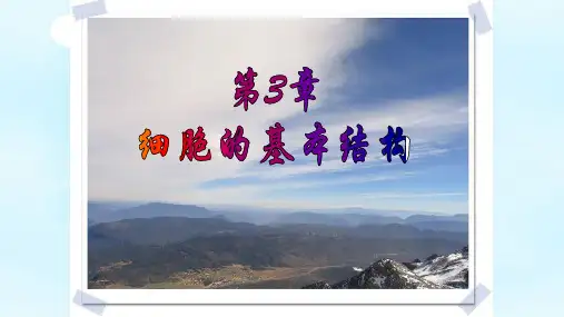 【一线精品】 人教版必修1 生物：3.1 细胞膜——系统的边界 课件(共23张PPT)