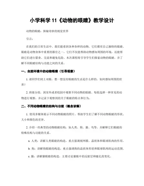 小学科学11《动物的眼睛》教学设计