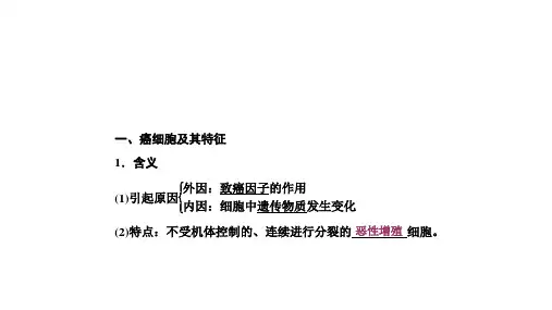 细胞的癌变 课件