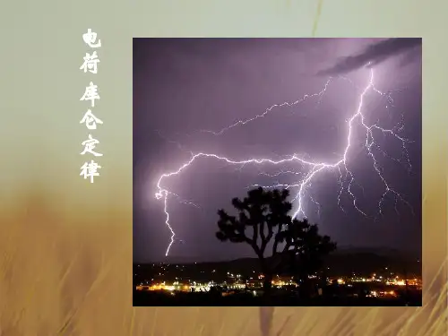 高中物理选修1-1课件 电荷 库仑定律 