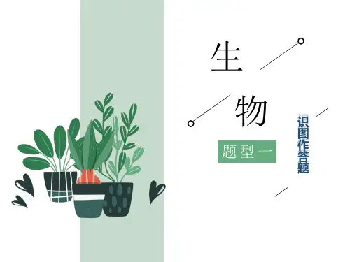 中考生物 实验探究题