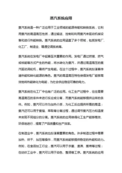 蒸汽系统应用