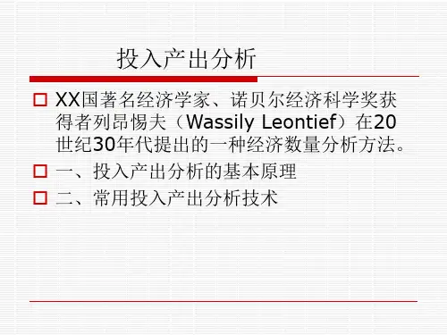 投入产出分析