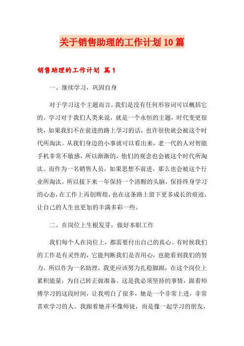 关于销售助理的工作计划10篇