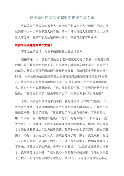 在乎高中作文范文800字作文范文5篇