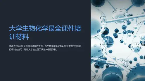 大学生物化学最全课件培训材料