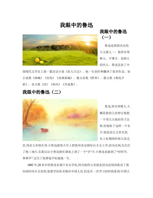 我眼中的鲁迅(共10篇)