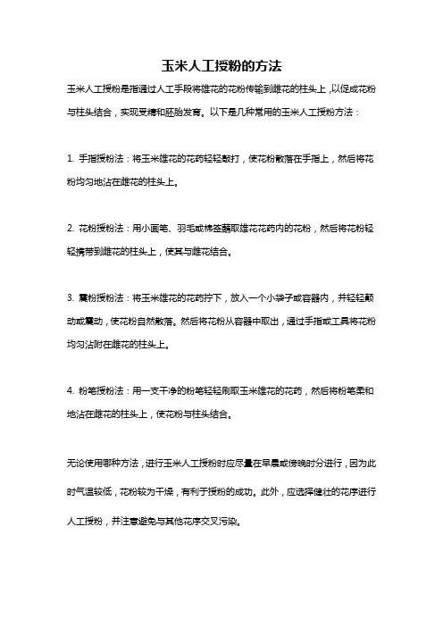 玉米人工授粉的方法