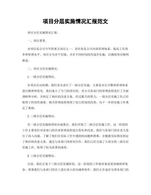 项目分层实施情况汇报范文