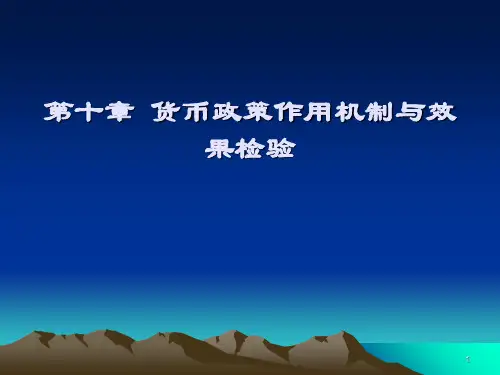 十章节货币政策传导机制及效果检验1