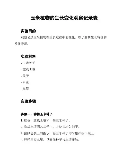 玉米植物的生长变化观察记录表