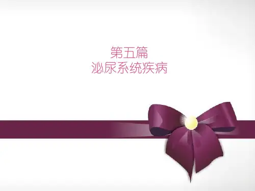 泌尿系统疾病总论