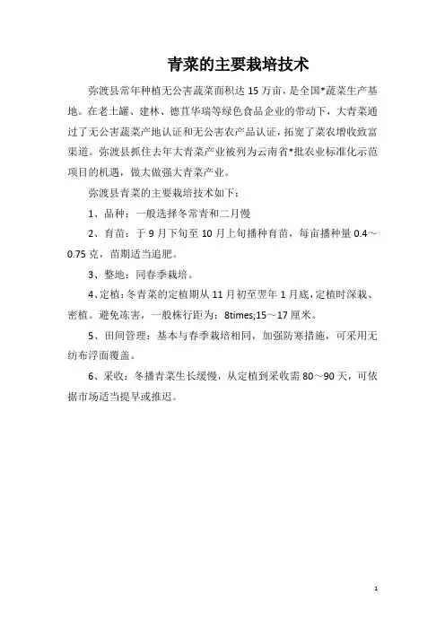 青菜的主要栽培技术