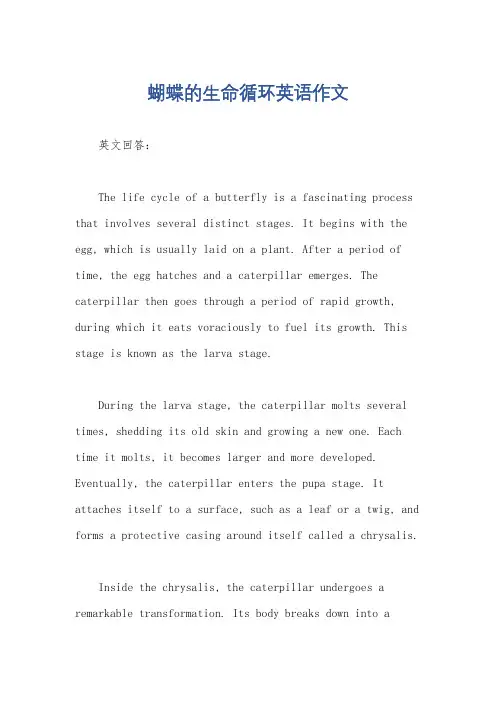 蝴蝶的生命循环英语作文