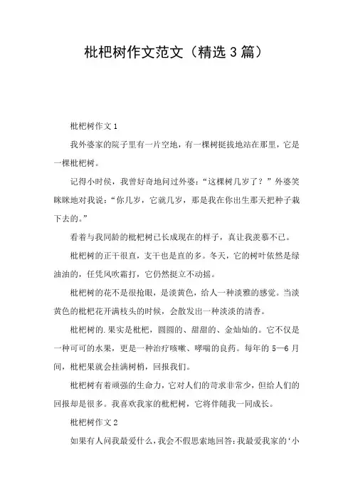 枇杷树作文范文(精选3篇)