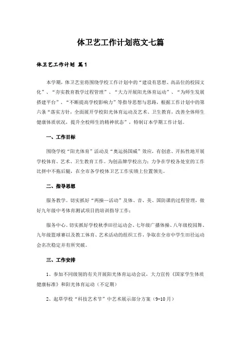体卫艺工作计划范文七篇