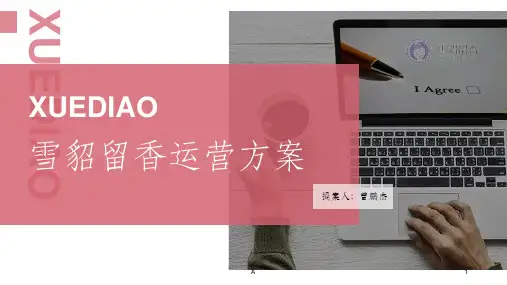 京东店铺运营方案