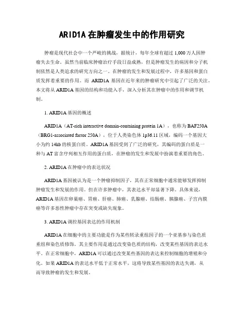 ARID1A在肿瘤发生中的作用研究