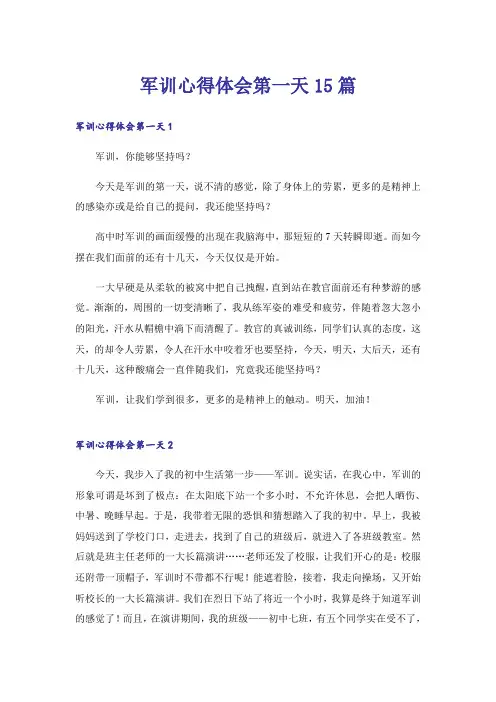 军训心得体会第一天15篇
