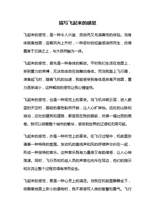 描写飞起来的感觉