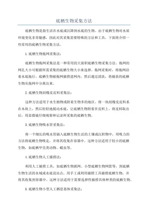 底栖生物采集方法
