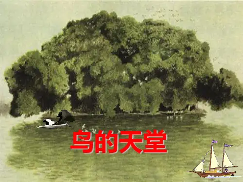四年级下册语文课件-课文25《鸟的天堂》语文S版 (共17张PPT)