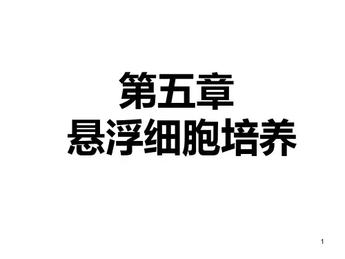 悬浮细胞培养