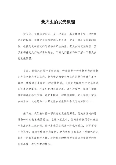 萤火虫的发光原理