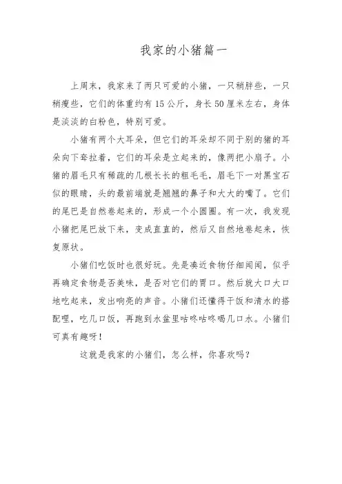 小猪的外形特点作文300字