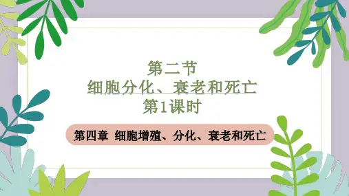 4.2.1细胞分化和细胞全能性课件(共23张PPT)——高中生物学苏教版(2019)必修一