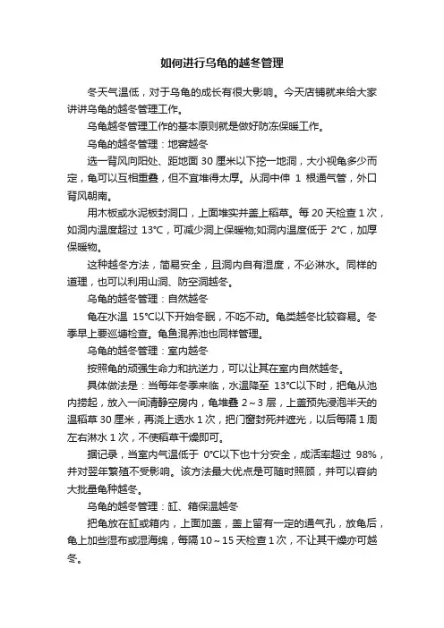 如何进行乌龟的越冬管理