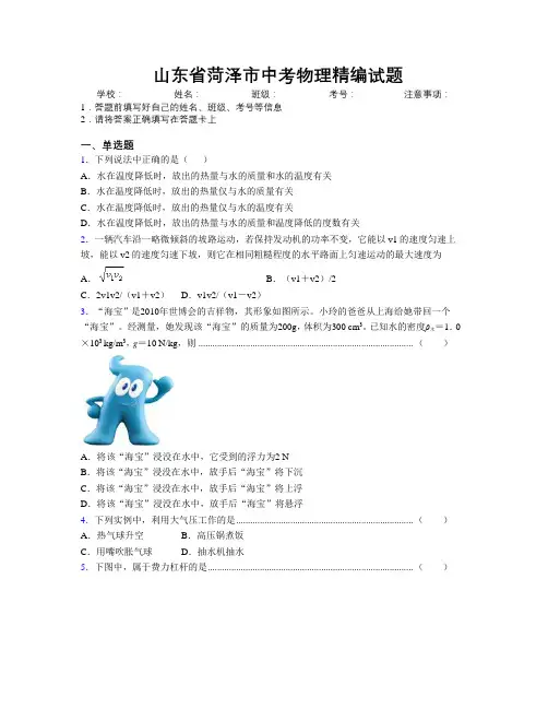 最新山东省菏泽市中考物理精编试题及解析
