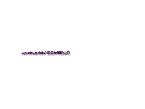 保险公司专题学习——标准普尔象限图ppt课件