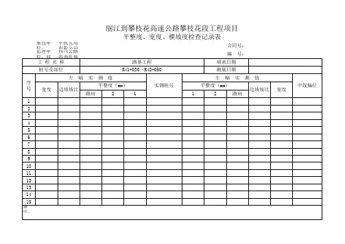 平整度宽度横坡度检查记录表