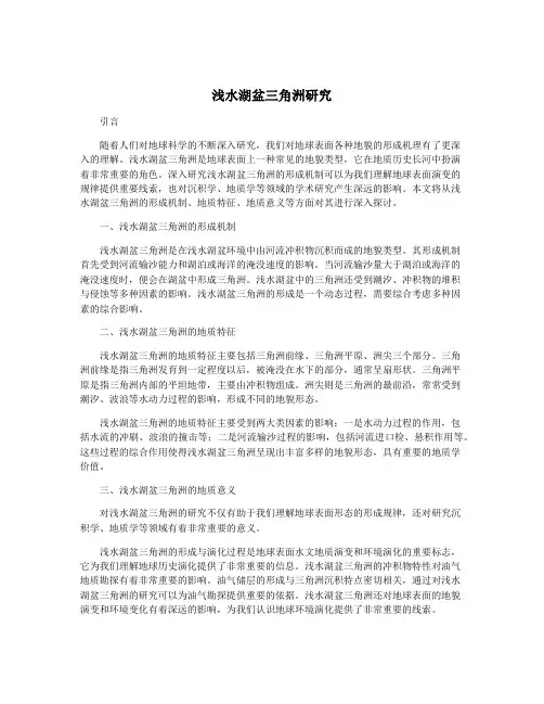 浅水湖盆三角洲研究