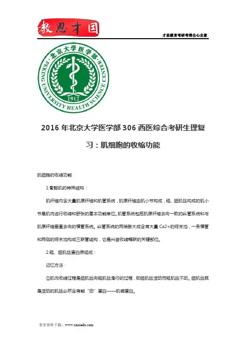2016年北京大学医学部306西医综合考研生理复习：肌细胞的收缩功能