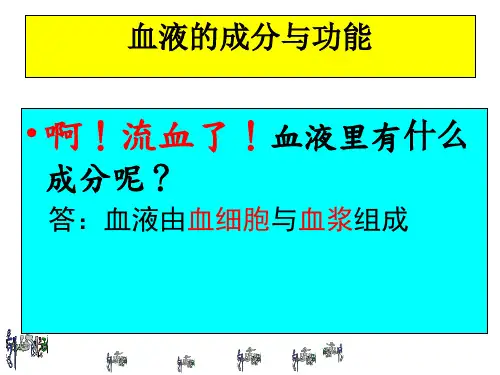 人教版初中生物七年级下册课件-4.4.2 血流的管道——血管4