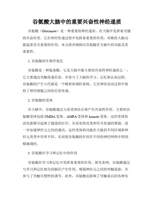 谷氨酸大脑中的重要兴奋性神经递质