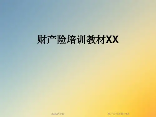 财产险培训教材XX
