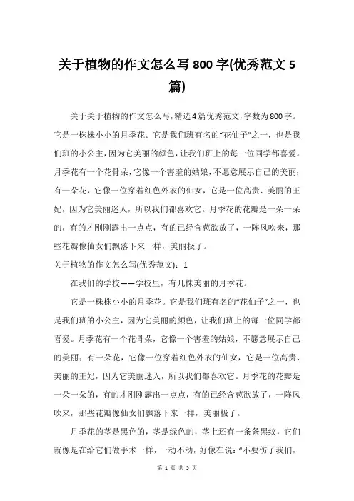 关于植物的作文怎么写800字(很好范文5篇)