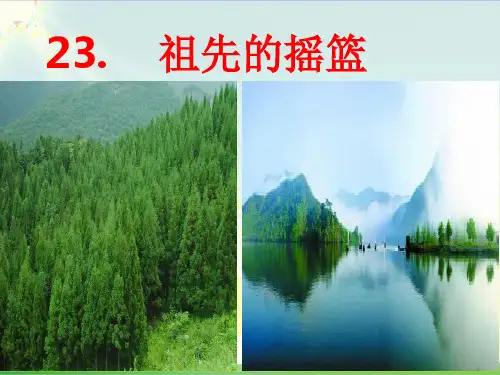 部编教材二年级下册语文《祖先的摇篮》ppt课堂课件